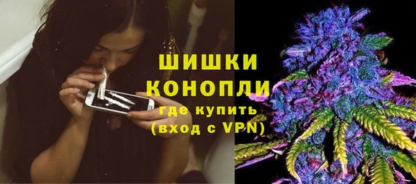 стафф Надым