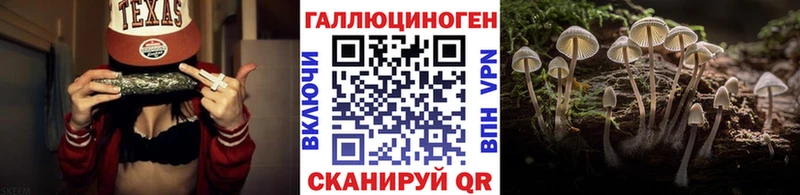 Галлюциногенные грибы Magic Shrooms  Приволжск 